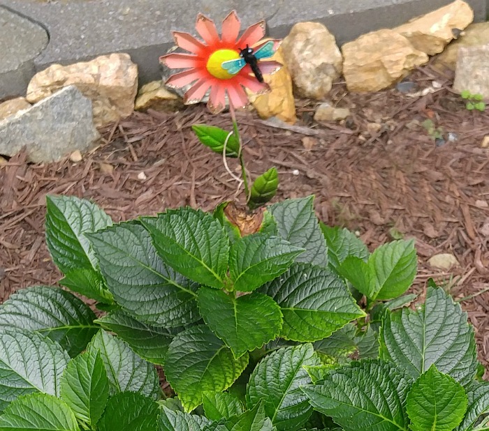 Metal flower and dragonfly yard art