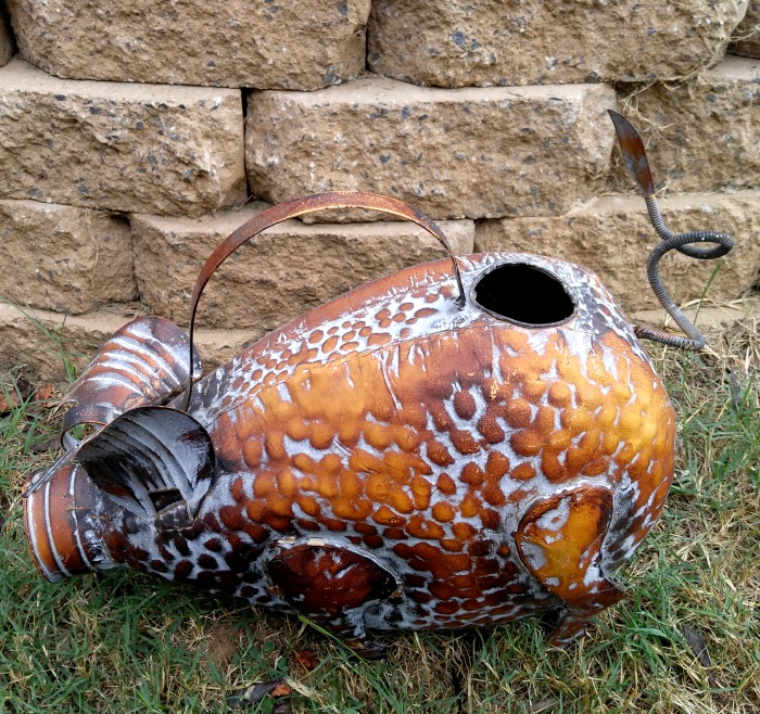 Pig watering can