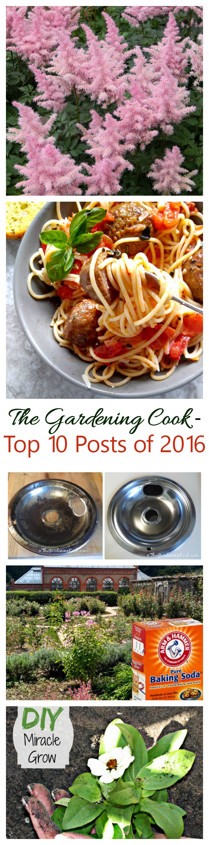 See what made the list of the most popular posts of 2016 for The Gardening Cook. This year, household tips, gardening tips and one great recipe made the top 10!