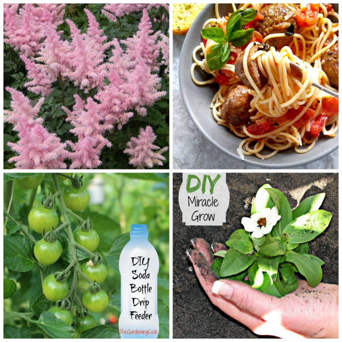 My 10 Most Popular Posts of 2016