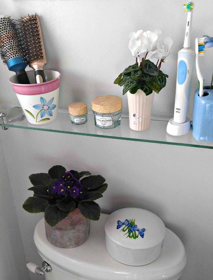 AFrican violets like humidity. The bathroom is a good spot for them.