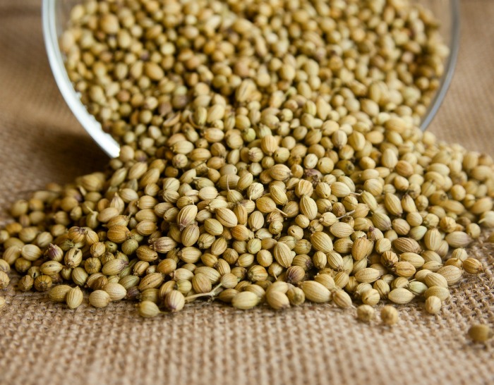 coriander seeds