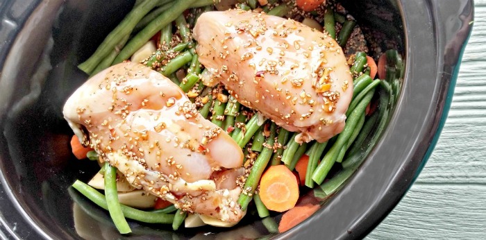 Crock pot Chicken Recipes