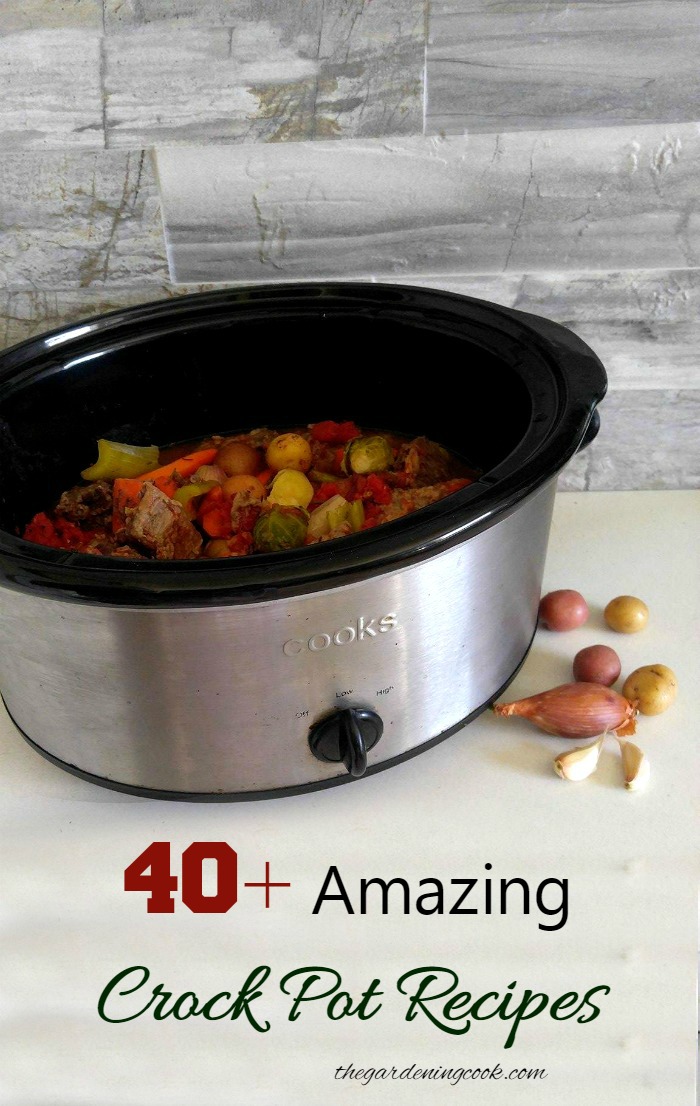 A slow cooker saves cooking time and make the house smell great. These 40+ Crock Pot Recipes will give you a different one to try each day of the month!