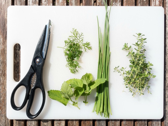 Cutting fresh herbs