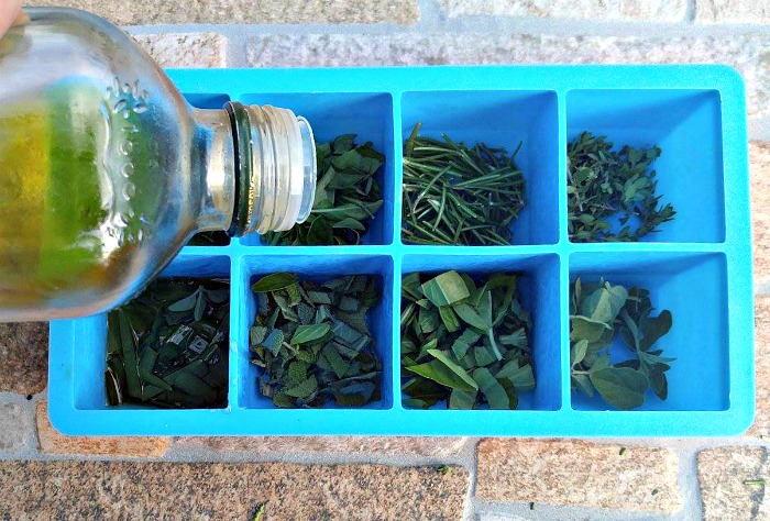 freezing herbs