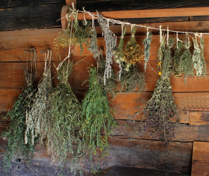 dry your own herb to preserve them at the end of the season