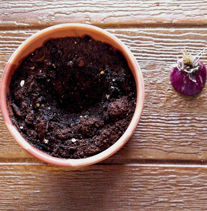 Make an indentation in the soil