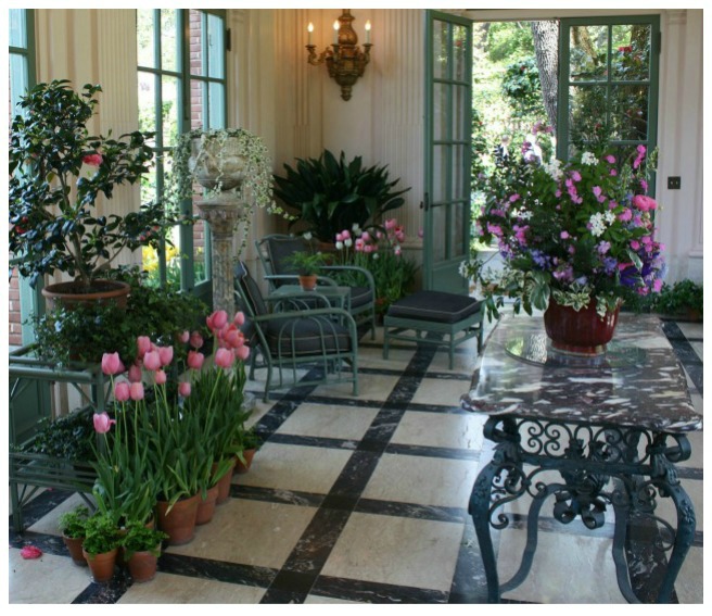 This Indoor Plant Guide gives you tons of information for choosing, growing, propagating and displaying your indoor plants. Get all your indoor plant information in one place.