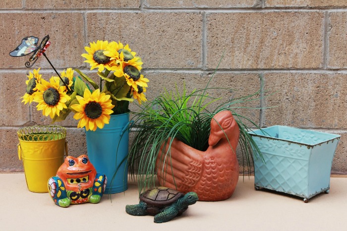 All sorts of containers make great indoor planters