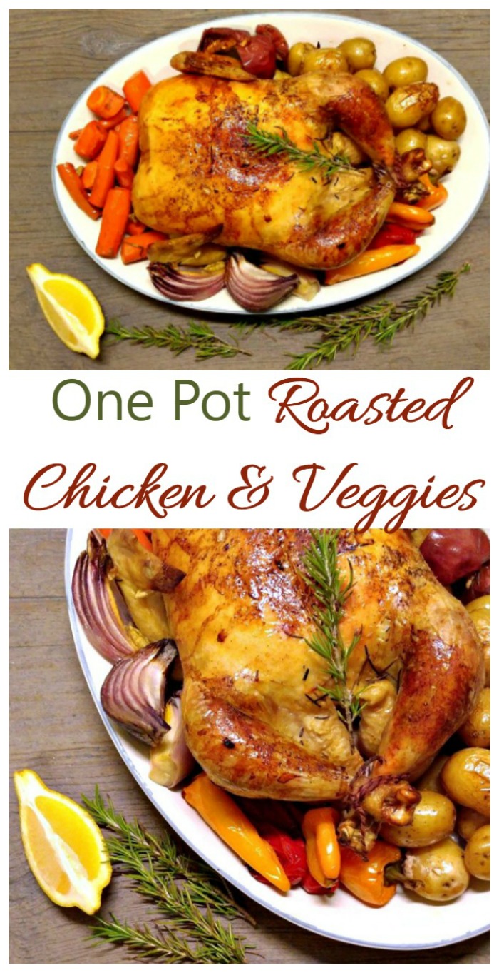 One Pot Roasted Chicken and Vegetables recipe