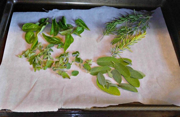 oven drying herbs