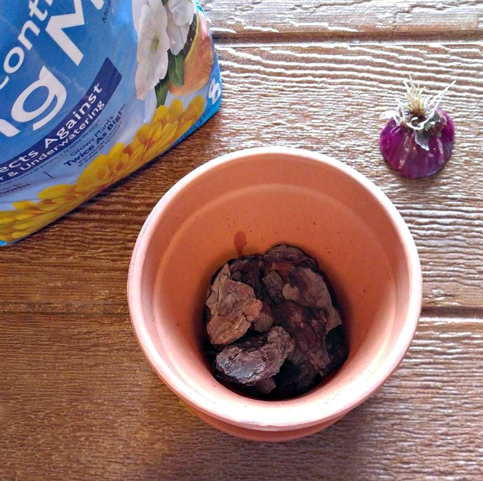 Add pine bark nuggets to a plant pot.