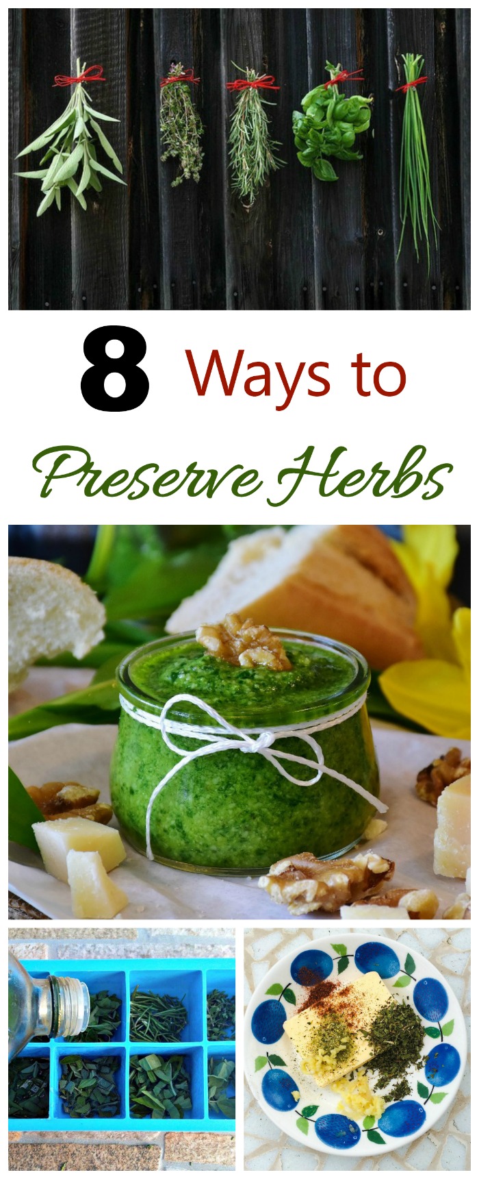 These 8 ways for preserving herbs will keep the flavors going long after the growing season is over.