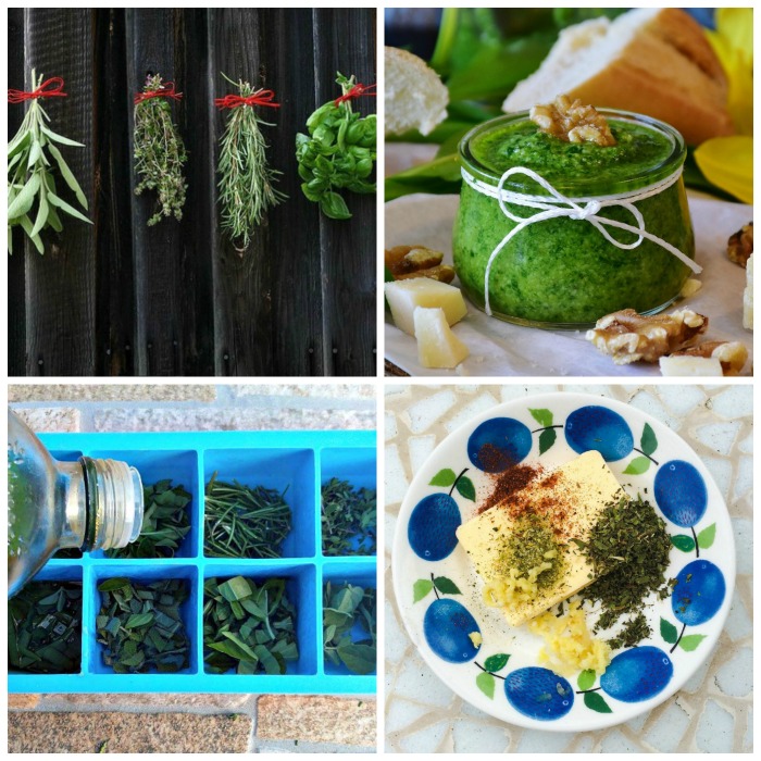 Perserving Herbs by Drying and Freezing