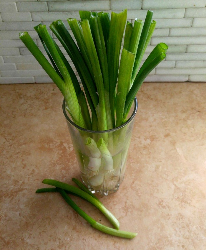 Spring onions in a glass of water.