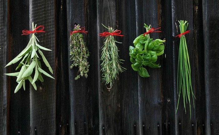 drying herbs