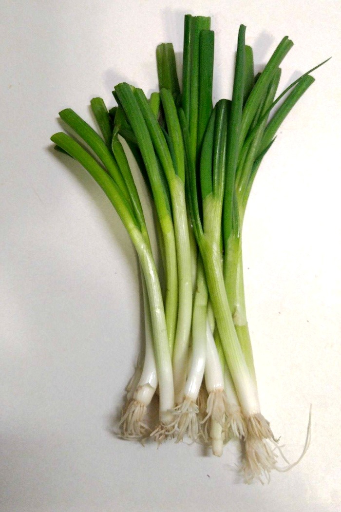 The longer the roots are, the quicker the onions will regrow