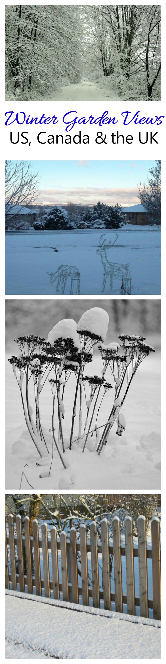These winter garden views, from the USA, Canada and the UK show that there are some stark differences and lots of similarities when you look outside your window in winter. These photos are shared by readers of my blog. Why not share your photo too?
