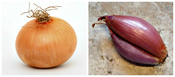 One of the biggest differences between an onion and a shallot is the shape.