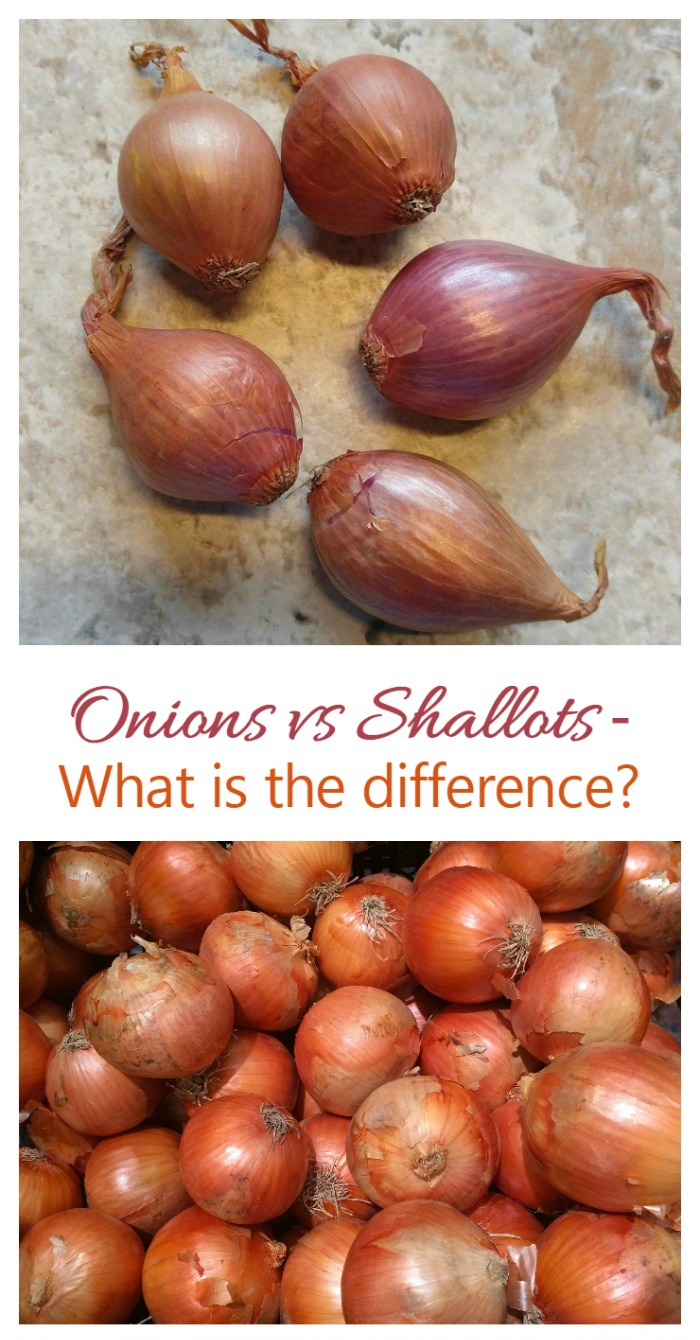 What is the difference between a shallot and an onion? Size and taste!