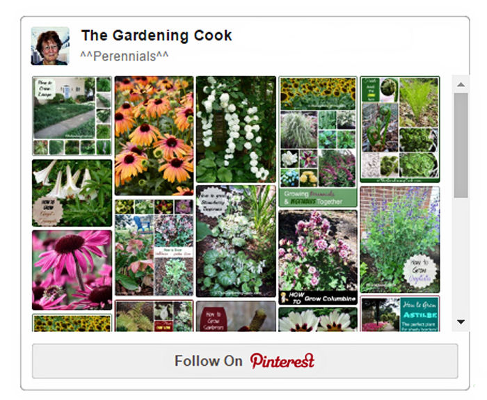 Perennials Board on Pinterest
