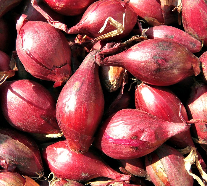 15 Tested Tips for Using, Storing and Growing Shallots