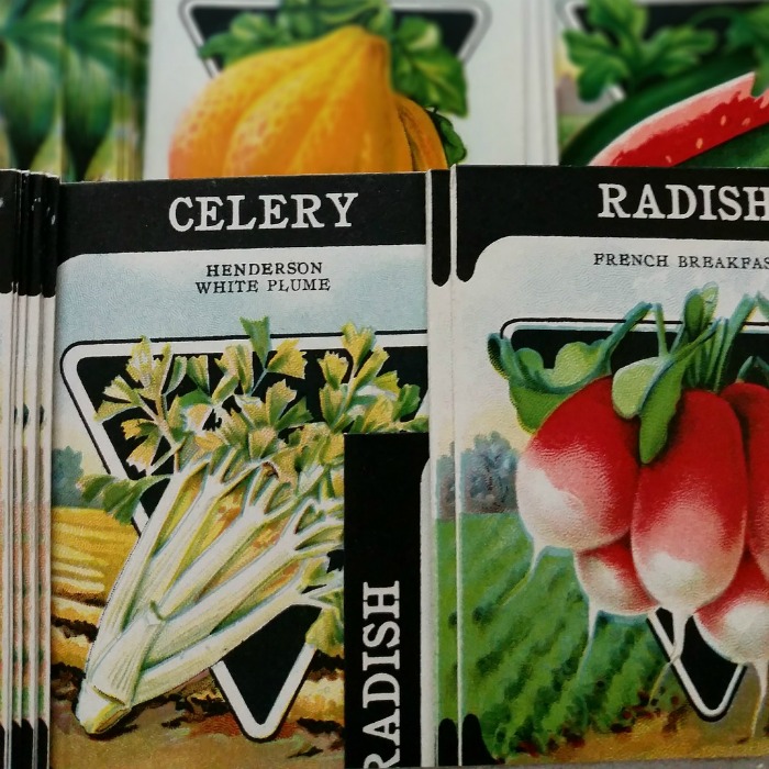 Seed Types:  Open Pollinated, Heirloom and Hybrid.