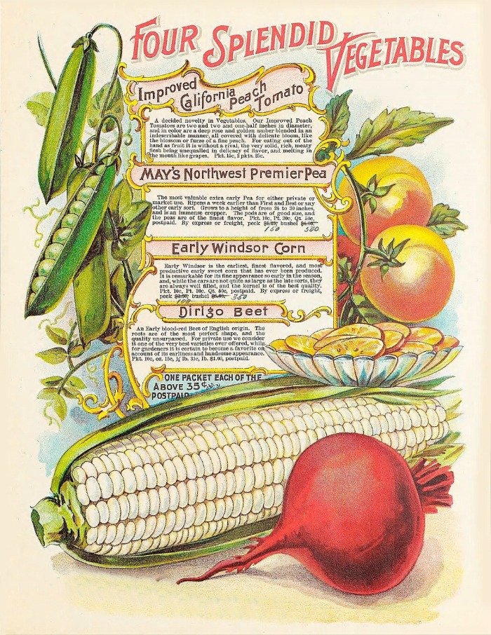 Heirloom seeds are saved from generation to generation