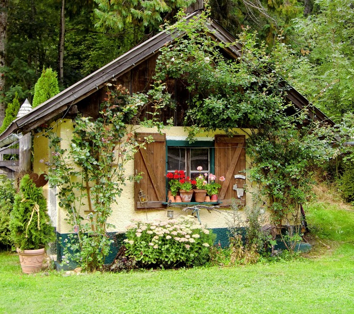Alpine looking Garden Shed