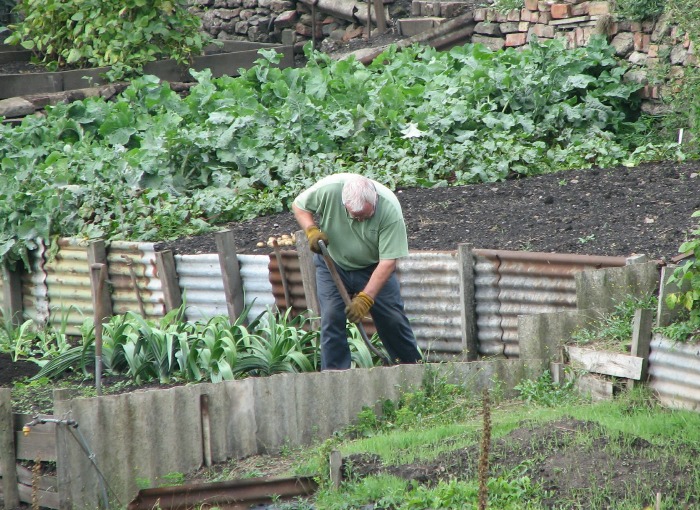Tips and advice for making your vegetable garden the best it can be.