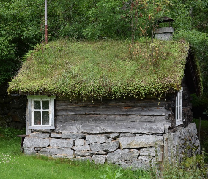 Plant the entire roof of a Garden Shed for a rustic look.