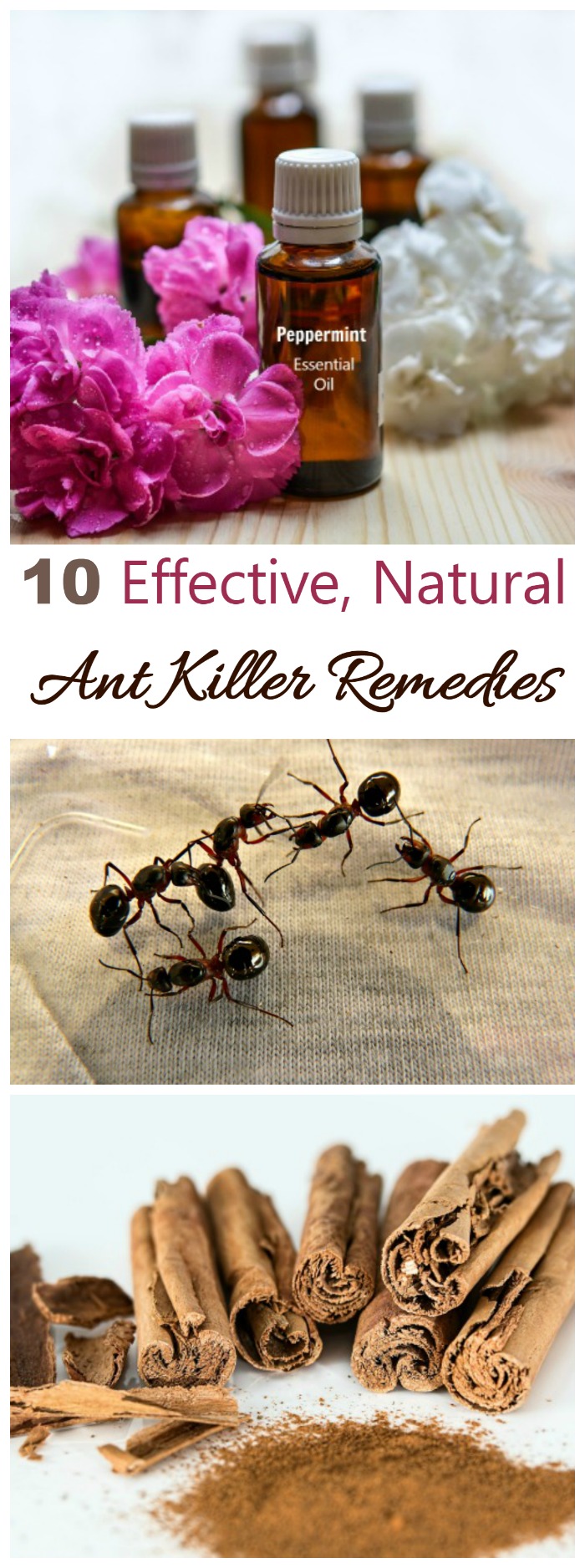 These 10 Ant Killer Remedies and Ant Repellents are natural and effective. Rid your home of ants in a less toxic way! 