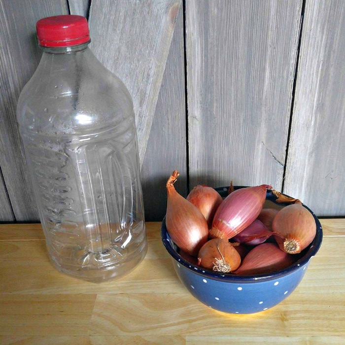 Clean empty tomato juice bottle and bowl of shallots