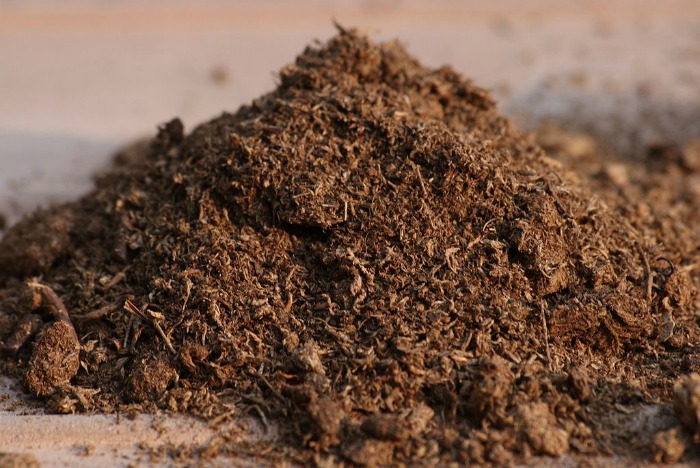 peat moss