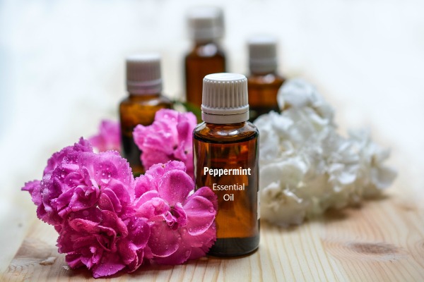 10 Drops of peppermint essential oil in a small bottle of water makes a good ant repellent