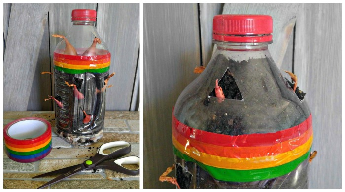 Seal the bottle with striped duct tape