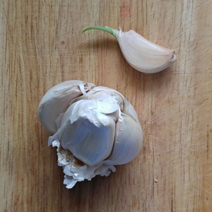 Sprouted garlic clove all ready to try to root.