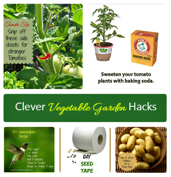 These vegetable gardening hacks are creative and fun things to do.