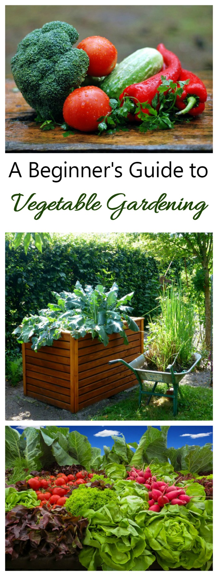 Growing your own vegetables is one of the highlights of summer gardening. There is nothing quite like the taste and freshness of home grown veggies! My vegetable gardening guide will lead you through the process,, from starting seeds to growing in containers to the actual harvest.
