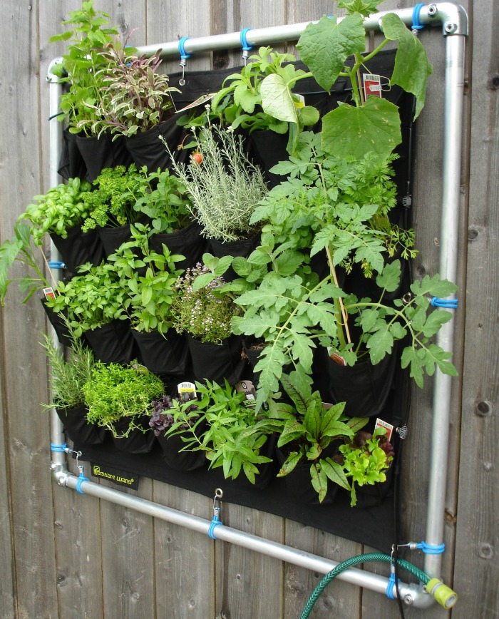 Vertical herb garden