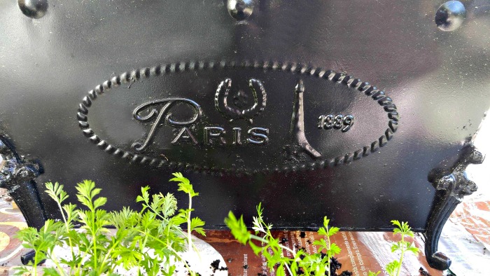 Spray painted planter