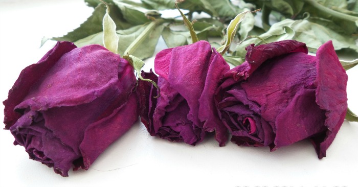 Dried Rose petals