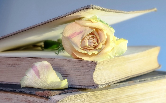Pressing roses in a book