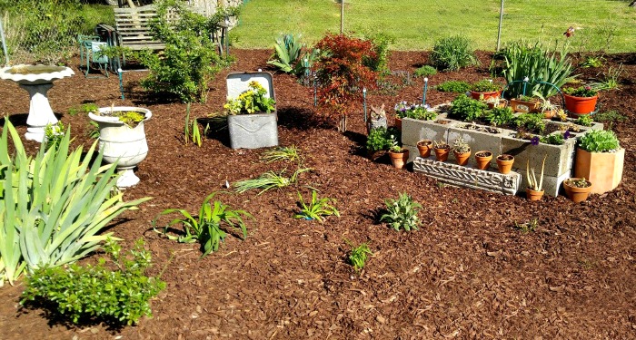 This cement blocks raised garden bed makes a great focal point in my garden.