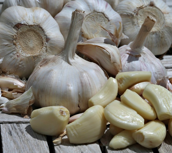 garlic cloves and whole heads of garlic.