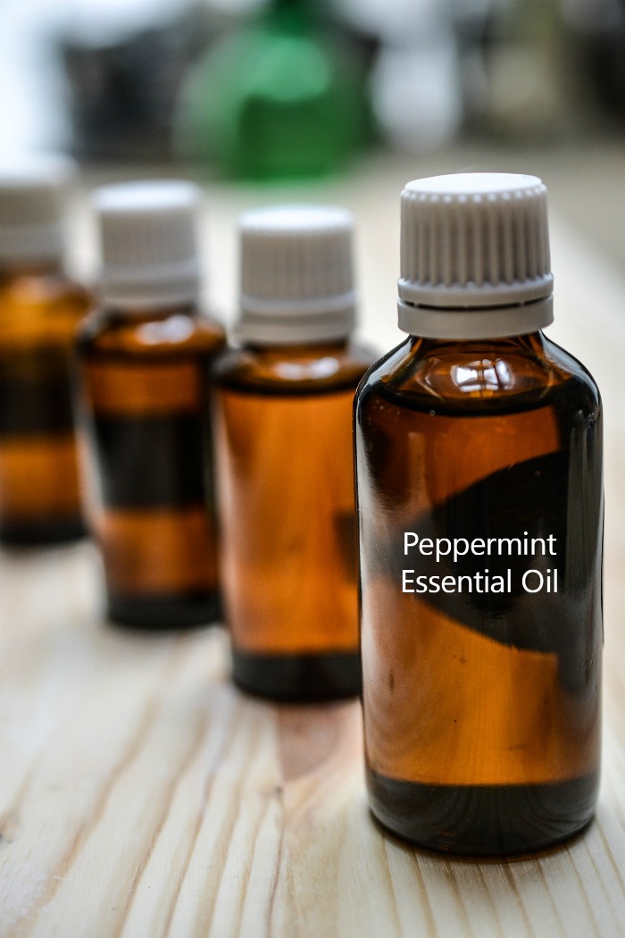 Bottles of peppermint essential oil in a row.