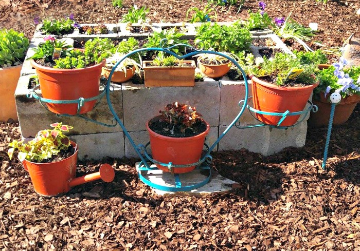 Back of the cement blocks planter