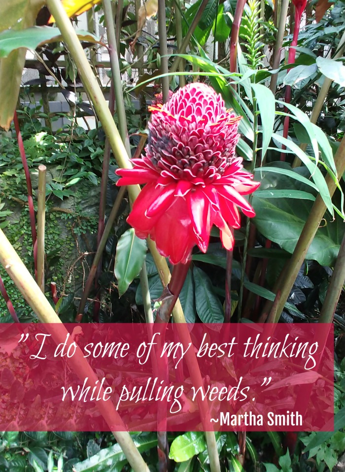 Tequila ginger flower with a Martha Smith quote - "I do some of my best thinking while pulling weeds."