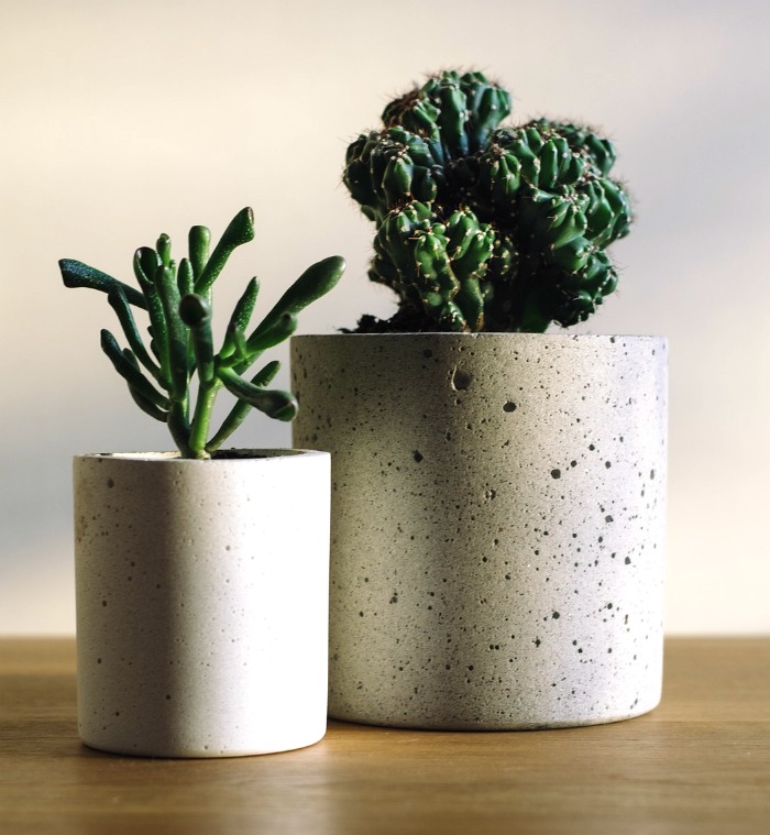 Cement planters with succulents Succulent round cement planters